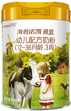 荷致